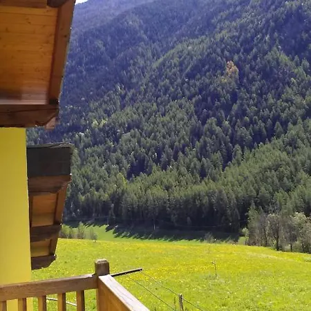 Apartment Grazioso *