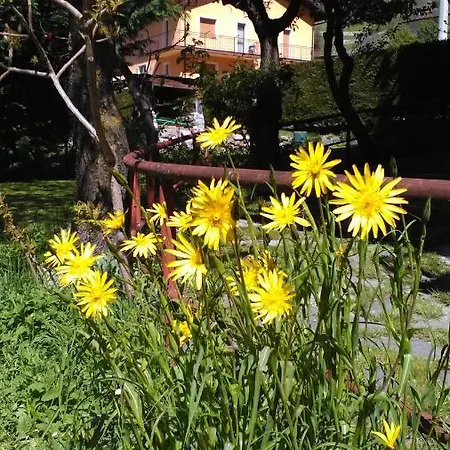 Grazioso *