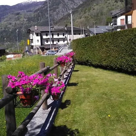 Grazioso *