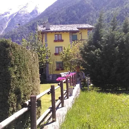 Grazioso *